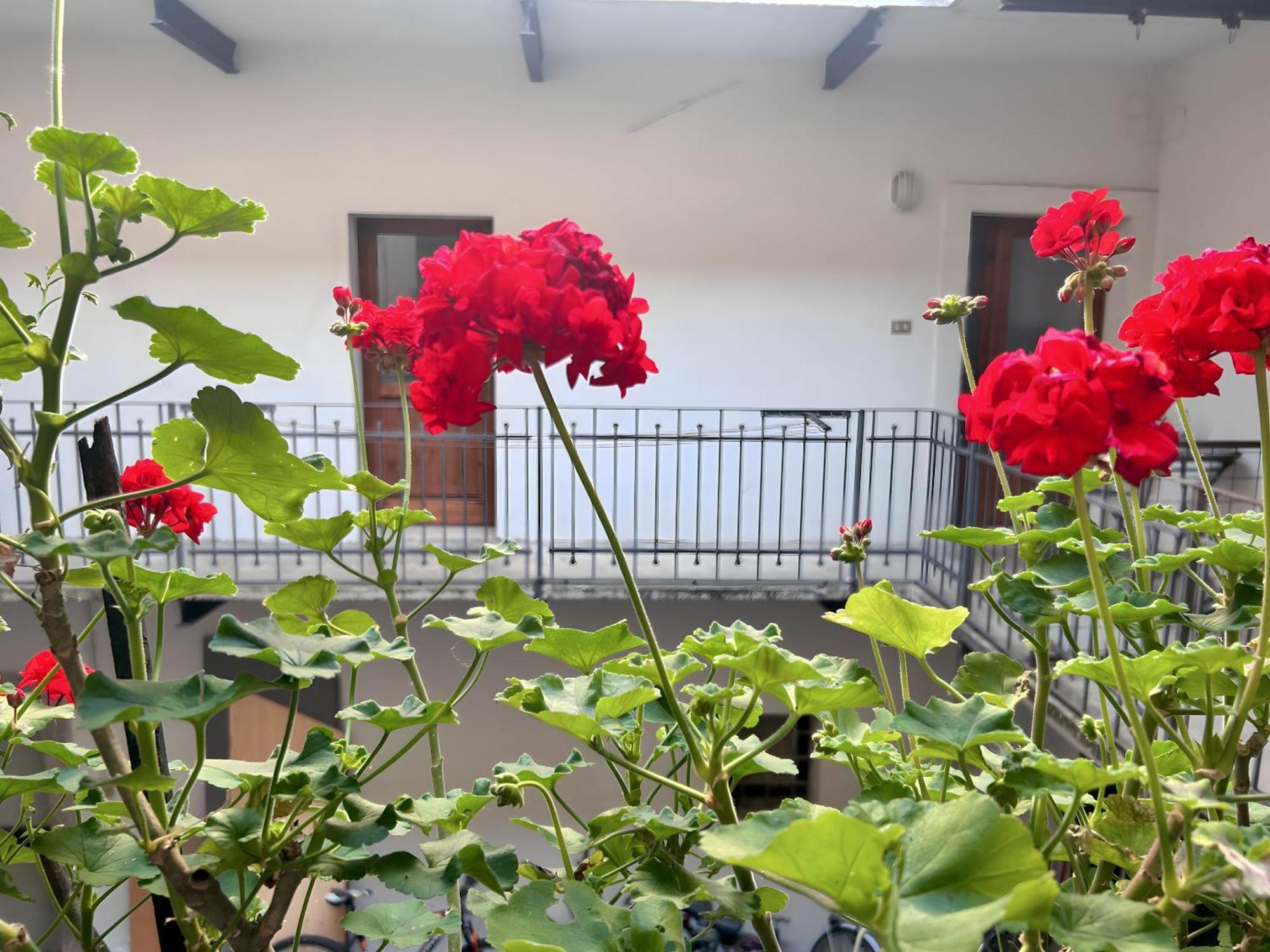 Gorizia Holiday Inn Rastello Suite Exteriér fotografie